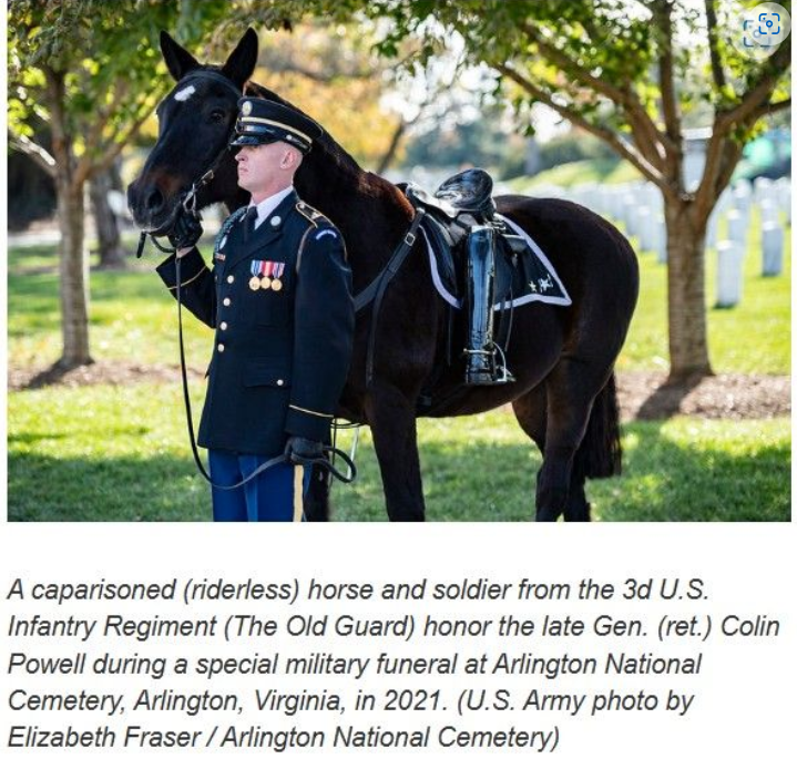 29262903 dc5f 4a2f 866e fbb4ab295ab6