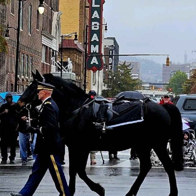 b853aa3b 0e55 48ec 9a77 5818fbe1a253