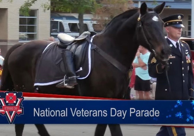 372c5bcf 307f 4b99 8c70 9a6e2b732d0b