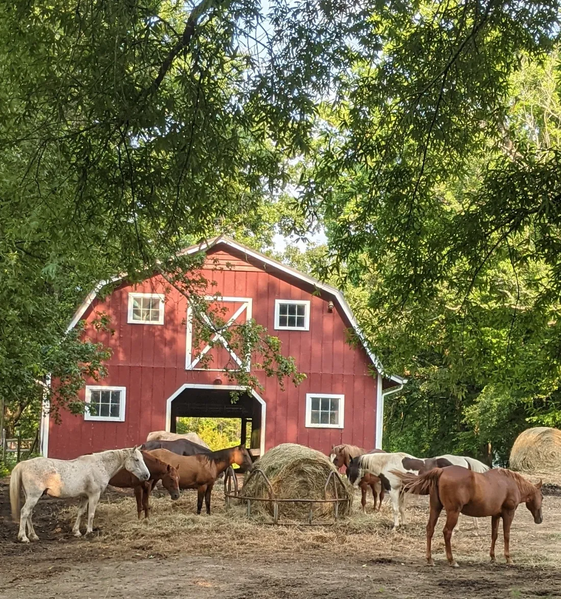 ac841dd9 8680 4533 86c7 6e5b0cdedcce