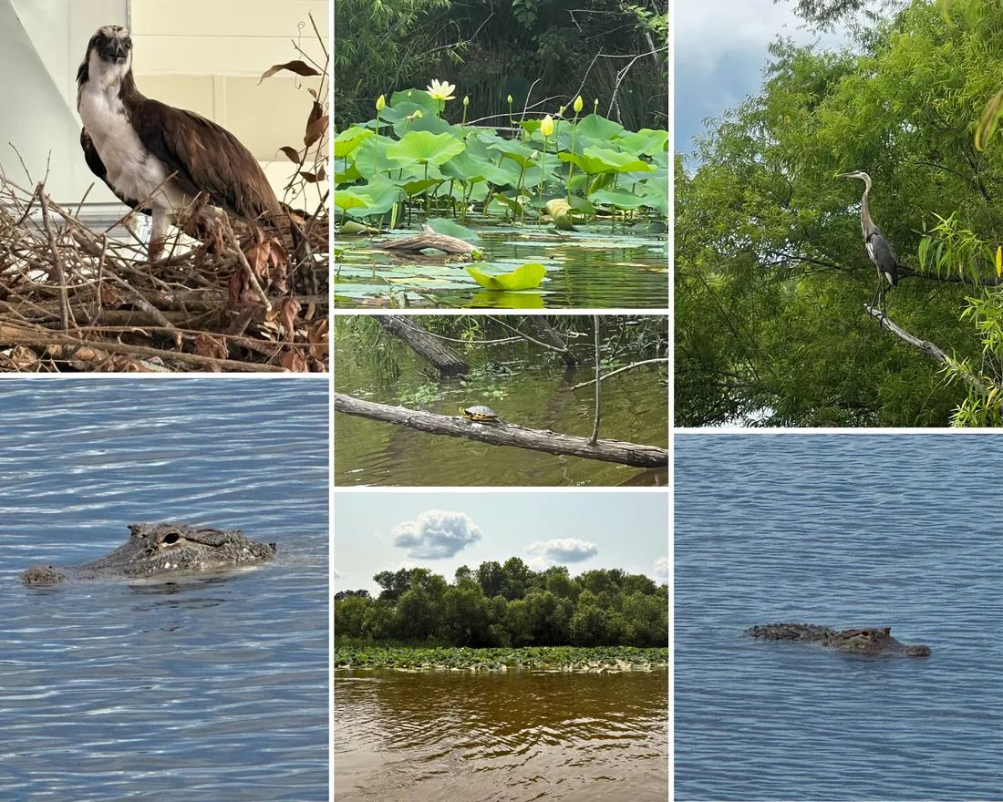 56c41b10 7853 4431 b4d8 0eb766e1f6fc